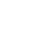 Brand icons min