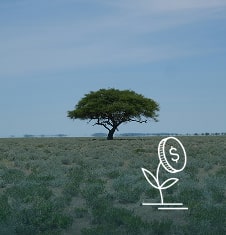 image min 10